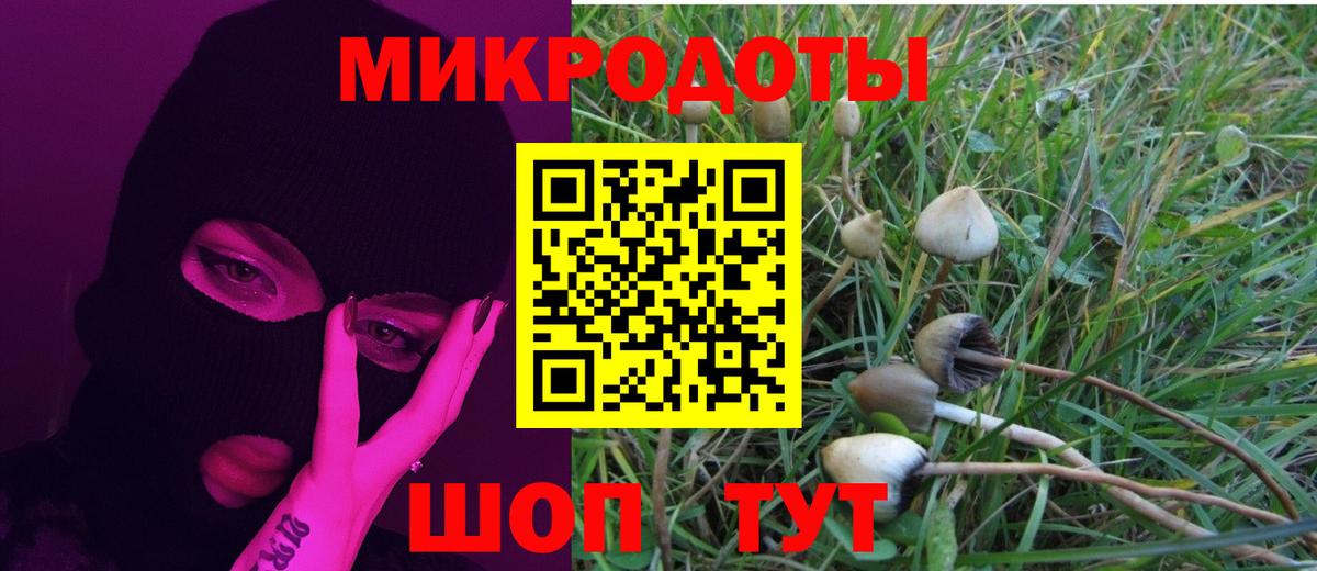 Псилоцибиновые грибы Cubensis  Вход с VPN  Галлюциногенные грибы прущие грибы  Назрань 